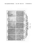 Applications of laser-processed substrate for molecular diagnostics diagram and image