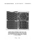 Applications of laser-processed substrate for molecular diagnostics diagram and image