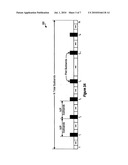 CHANNEL ESTIMATION FOR A WIRELESS COMMUNICATION SYSTEM WITH MULTIPLE PARALLEL DATA STREAMS diagram and image