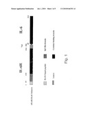 USE OF IL-6/IL-6 CHIMERA IN HUNTINGTON S DISEASE diagram and image