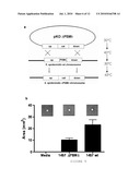 ANTIMICROBIAL AND ANTI-INFLAMMATORY THERAPIES AND COMPOSITIONS diagram and image