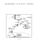 ANTIMICROBIAL AND ANTI-INFLAMMATORY THERAPIES AND COMPOSITIONS diagram and image