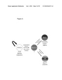 EARLY MESODERM CELLS, A STABLE POPULATION OF MESENDODERM CELLS THAT HAS UTILITY FOR GENERATION OF ENDODERM AND MESODERM LINEAGES AND MULTIPOTENT MIGRATORY CELLS (MMC) diagram and image