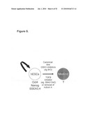 EARLY MESODERM CELLS, A STABLE POPULATION OF MESENDODERM CELLS THAT HAS UTILITY FOR GENERATION OF ENDODERM AND MESODERM LINEAGES AND MULTIPOTENT MIGRATORY CELLS (MMC) diagram and image