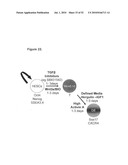 EARLY MESODERM CELLS, A STABLE POPULATION OF MESENDODERM CELLS THAT HAS UTILITY FOR GENERATION OF ENDODERM AND MESODERM LINEAGES AND MULTIPOTENT MIGRATORY CELLS (MMC) diagram and image