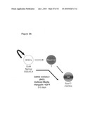 EARLY MESODERM CELLS, A STABLE POPULATION OF MESENDODERM CELLS THAT HAS UTILITY FOR GENERATION OF ENDODERM AND MESODERM LINEAGES AND MULTIPOTENT MIGRATORY CELLS (MMC) diagram and image