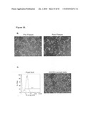 EARLY MESODERM CELLS, A STABLE POPULATION OF MESENDODERM CELLS THAT HAS UTILITY FOR GENERATION OF ENDODERM AND MESODERM LINEAGES AND MULTIPOTENT MIGRATORY CELLS (MMC) diagram and image