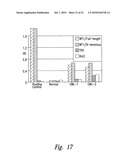 COMPOSITIONS AND METHODS FOR WT1 SPECIFIC IMMUNOTHERAPY diagram and image