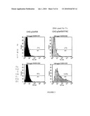 TRANSFERRIN RECEPTOR ANTIBODIES diagram and image