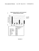 TRANSFERRIN RECEPTOR ANTIBODIES diagram and image