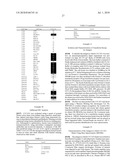 TRANSFERRIN RECEPTOR ANTIBODIES diagram and image