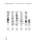 Monoclonal Antibodies Against Claudin-18 for Treatment of Cancer diagram and image