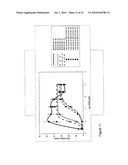 CpG Oligonucleotide Analogs Containing Hydrophobic T Analogs with Enhanced Immunostimulatory Activity diagram and image