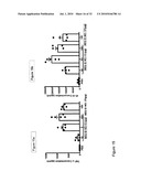 CpG Oligonucleotide Analogs Containing Hydrophobic T Analogs with Enhanced Immunostimulatory Activity diagram and image