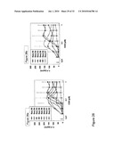 CpG Oligonucleotide Analogs Containing Hydrophobic T Analogs with Enhanced Immunostimulatory Activity diagram and image