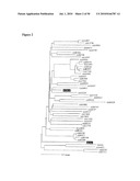 VACCINES AND METHODS FOR USING THE SAME diagram and image