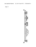 VACCINES AND METHODS FOR USING THE SAME diagram and image