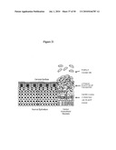 VACCINES AND METHODS FOR USING THE SAME diagram and image