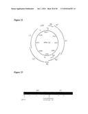 VACCINES AND METHODS FOR USING THE SAME diagram and image