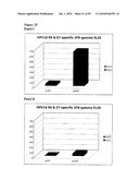 VACCINES AND METHODS FOR USING THE SAME diagram and image