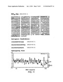 Gammaretrovirus associated with cancer diagram and image