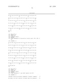 Gammaretrovirus associated with cancer diagram and image