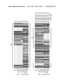 Gammaretrovirus associated with cancer diagram and image