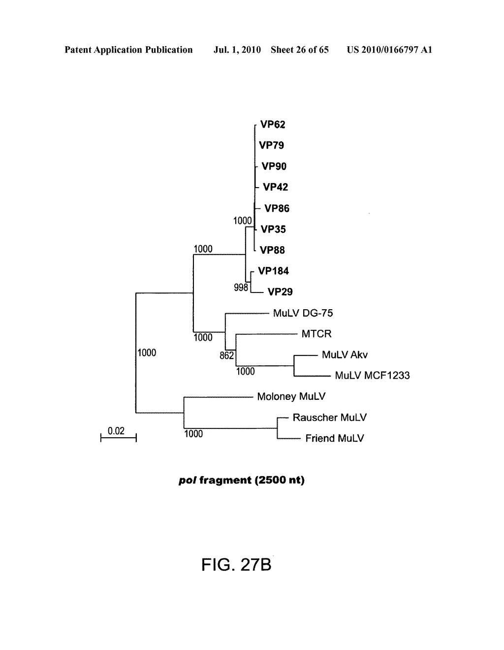 Gammaretrovirus associated with cancer - diagram, schematic, and image 27