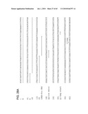 Gammaretrovirus associated with cancer diagram and image