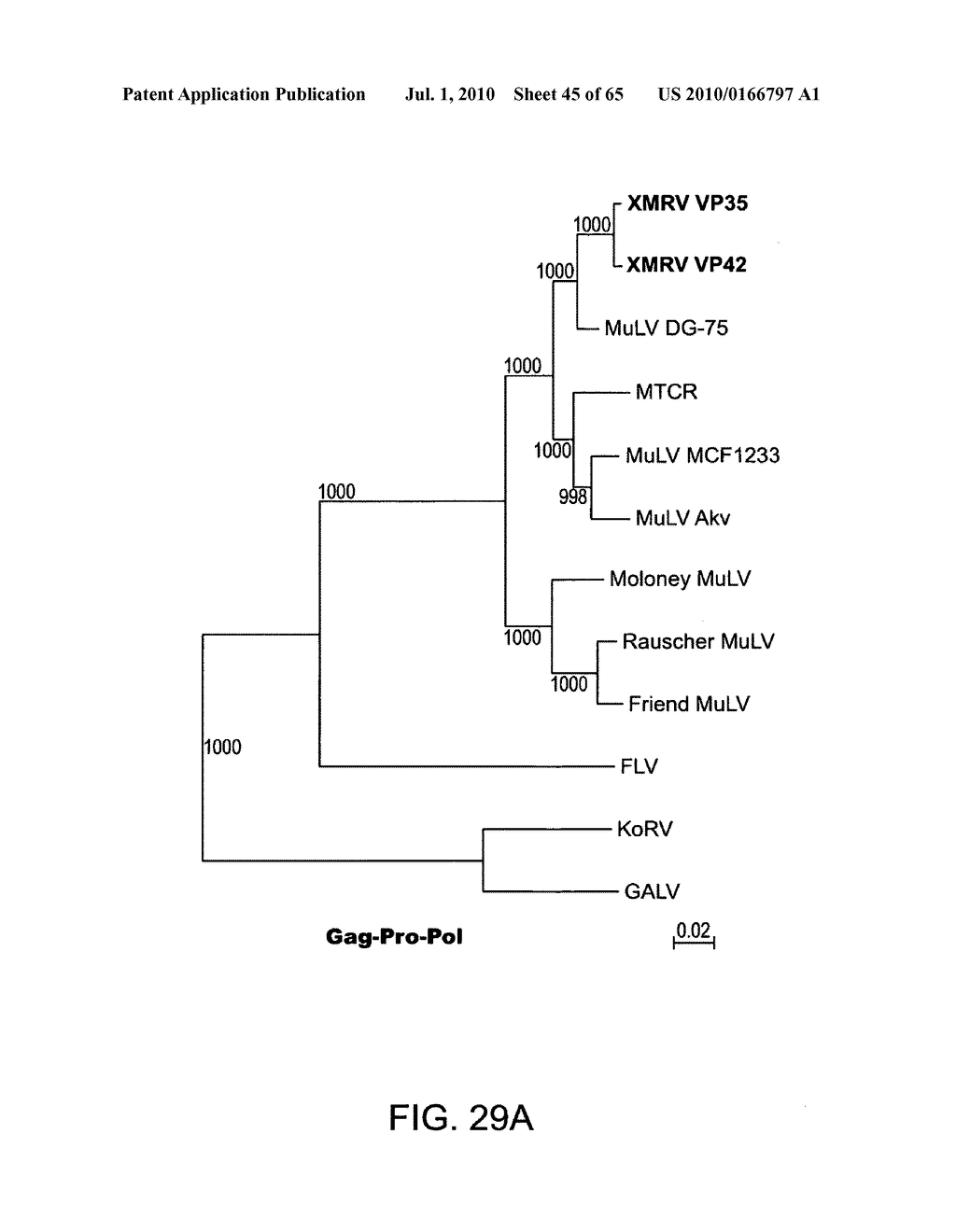 Gammaretrovirus associated with cancer - diagram, schematic, and image 46