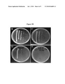 METHODS OF TREATING OR PREVENTING BIOFILM ASSOCIATED INFECTIONS WITH FREE AVAILABLE CHLORINE FREE AVAILABLE CHLORINE WATER diagram and image