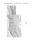 Compositions and uses thereof for the treatment of wounds diagram and image