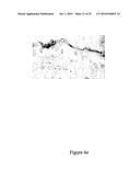 Compositions and uses thereof for the treatment of wounds diagram and image