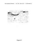 Compositions and uses thereof for the treatment of wounds diagram and image