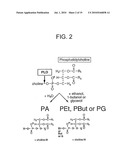 Methods And Compositions For Modulating Keratinocyte Function diagram and image