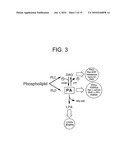 Methods And Compositions For Modulating Keratinocyte Function diagram and image