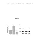 Methods And Compositions For Modulating Keratinocyte Function diagram and image