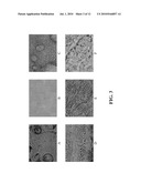 PHARMACEUTICAL DOSAGE FORMS AND METHODS OF MANUFACTURING SAME diagram and image