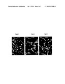 Antifoulant for Impact Copolymers and Method diagram and image