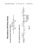 Compositions and Methods for Determining Whether a Subject Would Benefit from Co-Receptor Inhibitor Therapy diagram and image