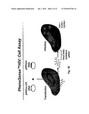 Compositions and Methods for Determining Whether a Subject Would Benefit from Co-Receptor Inhibitor Therapy diagram and image