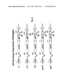 Compositions and Methods for Determining Whether a Subject Would Benefit from Co-Receptor Inhibitor Therapy diagram and image