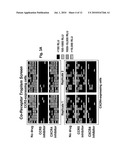 Compositions and Methods for Determining Whether a Subject Would Benefit from Co-Receptor Inhibitor Therapy diagram and image