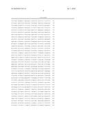 OVIDUCT SPECIFIC EXPRESSION PROMOTER AND RECOMBINANT EXPRESSION VECTOR COMPRISING THE SAME diagram and image