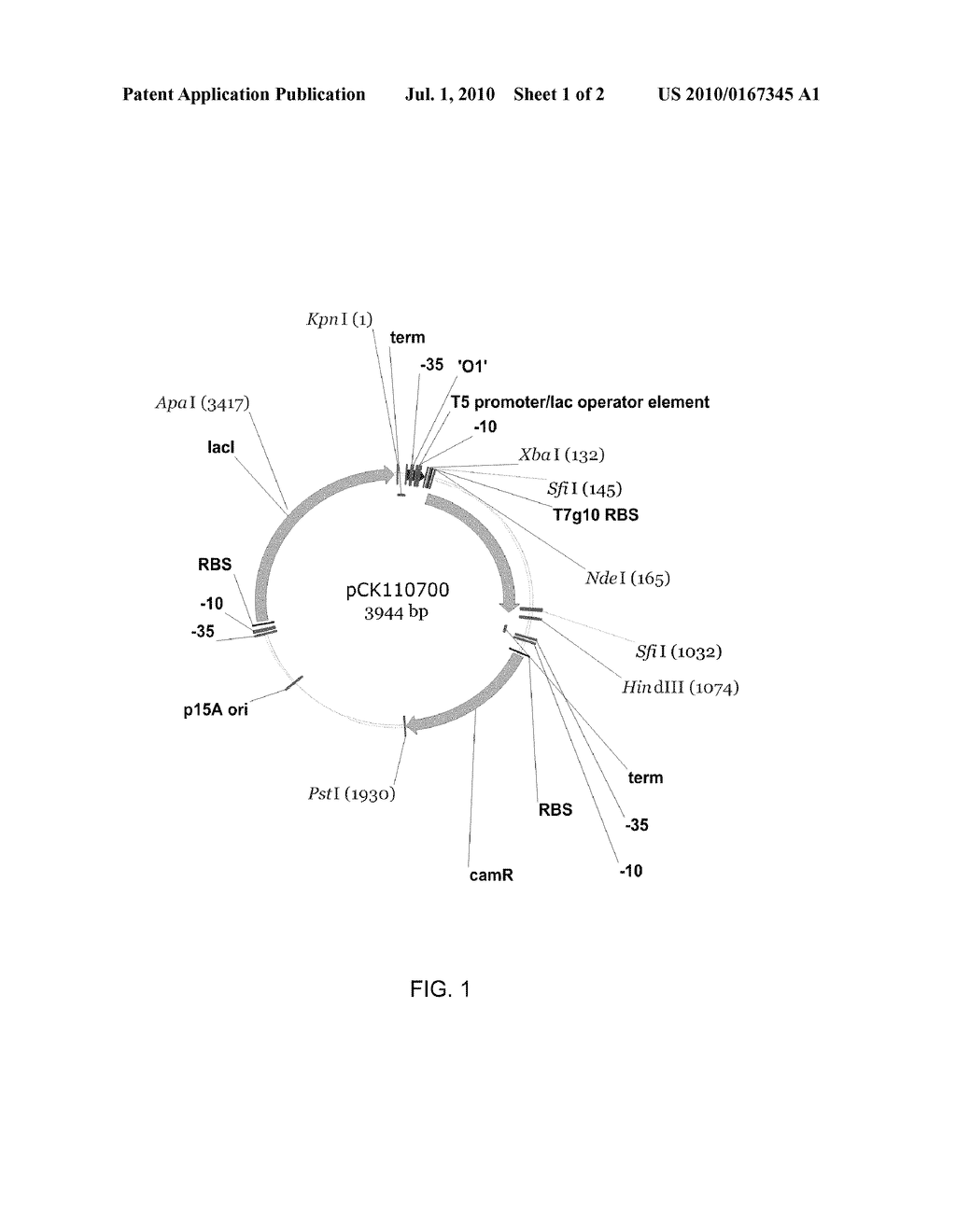 HALOHYDRIN DEHALOGENASES AND RELATED POLYNUCLEOTIDES - diagram, schematic, and image 02