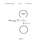 Homologous recombination-based DNA cloning methods and compositions diagram and image