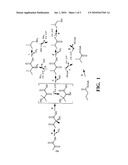 YEAST WITH INCREASED BUTANOL TOLERANCE INVOLVING HIGH OSMOLARITY/GLYCEROL RESPONSE PATHWAY diagram and image