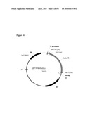 REDUCTION OF CARBON DIOXIDE EMISSION DURING ISOPRENE PRODUCTION BY FERMENTATION diagram and image