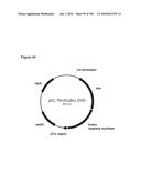 REDUCTION OF CARBON DIOXIDE EMISSION DURING ISOPRENE PRODUCTION BY FERMENTATION diagram and image