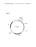 REDUCTION OF CARBON DIOXIDE EMISSION DURING ISOPRENE PRODUCTION BY FERMENTATION diagram and image